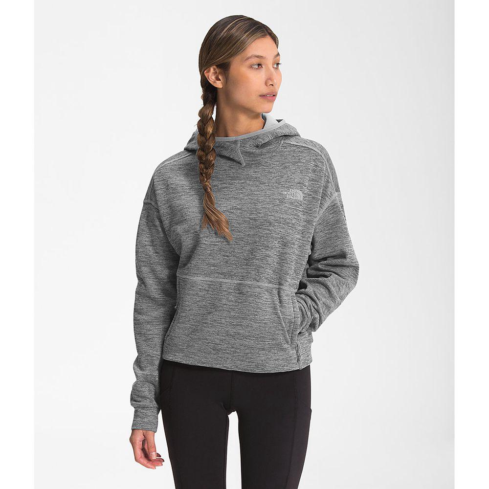 The North Face Canyonlands Crop Γυναικεια Pullover - Γκρι (XFQO12450)